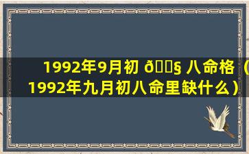 1992年9月初 🐧 八命格（1992年九月初八命里缺什么）
